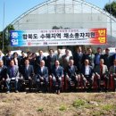 우리채소 이미지