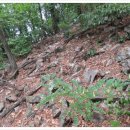 낭비성娘臂城 이미지