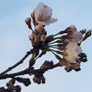 신동수변 이미지