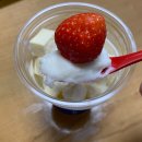 진해 요거트아이스크림 맛집 &#39;인코스타&#39; 대형 오션뷰 카페 추천