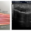 에스제이의원 이미지
