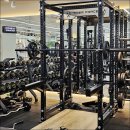 팀 비스트 이미지