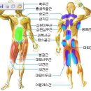 데드리프트 종류별 자세/ 자극부위 이미지