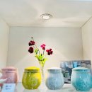 아이들랜드 이미지