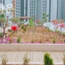 에스케이실버타운 | 배곧요양원 SK실버타운 입원비용 비교