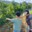 외성농장 이미지