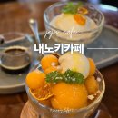 내노키카페 수제푸딩 제주 남원 애견동반 카페 두번째 후기