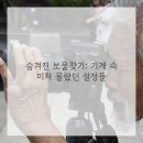 원의공간
