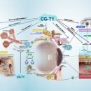 유니글로벌 이미지