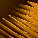 코이디아 이미지