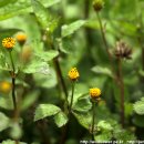 위미청소년문화의집 이미지