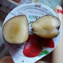 가야농원 이미지