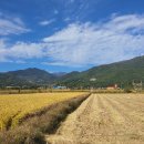 갈치농장 이미지