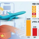 트리플좋은항공여행사