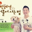 반려견과 더불어 사는 법 이미지