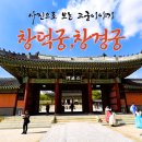 왕실 이야기 가득한 고궁 이야기_사진으로 보는 창덕궁 창경궁 관람기
