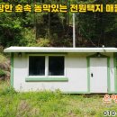시유림 이미지