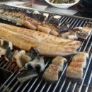 도림장어 이미지