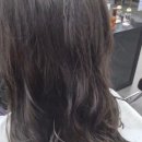 모즈토리청당점
