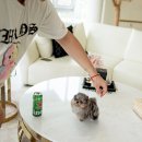 우월한스테이 이미지