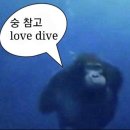 포텐베트남 이미지