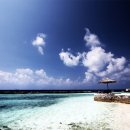 푸른바다 이미지