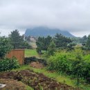 휠링민박 이미지