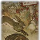 토끼와 거북이길 이미지