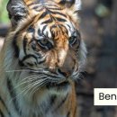 하늘가축병원 이미지