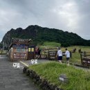 대구시청별관앞 교통섬 | [제주 동쪽] 2박3일 2-3일차 성산일출봉/카페더라이트/우도 전기차/성산 고등어회 딱새우회 포장