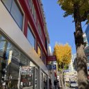 피자선생 본점 | [부산] 나는 부산까지 가서 무슨 피자야 라는 바보였다 이재모피자 본점 최고