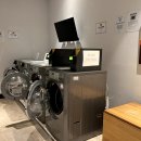 탐라세탁 이미지