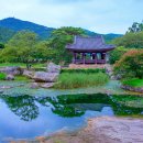 노화도·보길도·소안도