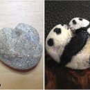 아트스톤 이미지