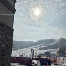 설푸드 | 알펜시아 스키장 설 연휴 푸드트럭 5대 섭외·운영 후기