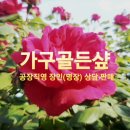 가구골든샾