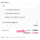 민트가드