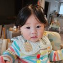 하정훈소아청소년과의원 | BABY DIARYㅣBABY 꼬야 D+226 하정훈 삐뽀삐뽀 하정훈소아청소년과의원 시너리 문센등록