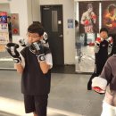 용인대NEW복싱 이미지