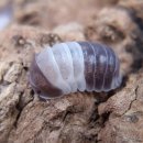 용자농장 이미지