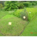 가오한의원 이미지