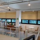 안나애견 이미지