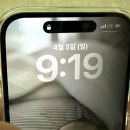 주식회사 스마트큐브 | 아이폰 사생활 지키는 필수템, 쉴드플러스 사생활보호필름 후기