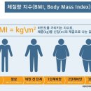쎄짐 이미지