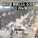 바이칼휘트니스주