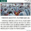 국제라이온스협회 356-A(대구)지구 김장봉사주간 언론 홍보 모음 이미지