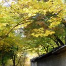 오후의 산책 이미지