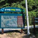 편백숲관광안내소 이미지