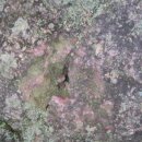 지리산 정령치와 고리봉 바위에 박힌 일본 잔재 쇠말뚝 제거/이계석 이미지