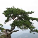 용화정 이미지